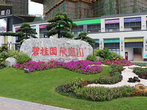 碧桂園龍熹山綠化養護