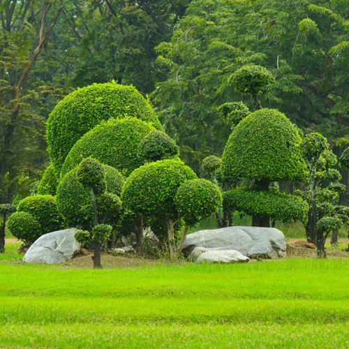 東莞園林綠化